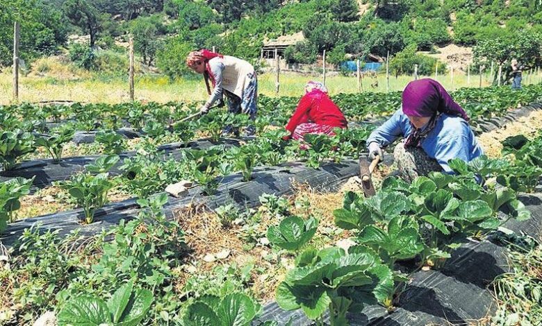 Gençler ve bayanlar doğduğu yerde doymalı 1 gencler ve bayanlar dogdugu yerde doymali pimeBXJT