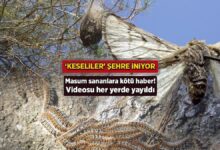 goruntusu her yerde yayildi temiz sananlara mak s haber keseliler kente iniyor UUecUlYU