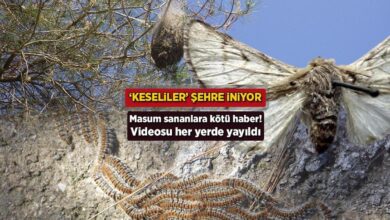 goruntusu her yerde yayildi temiz sananlara mak s haber keseliler kente iniyor UUecUlYU