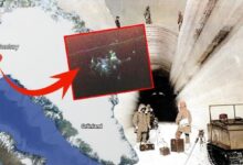 gronland sevdasi trumpla baslamadi buzullarin altinda terk edilmis fuze ussu nOQj5rMn