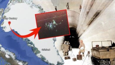 gronland sevdasi trumpla baslamadi buzullarin altinda terk edilmis fuze ussu nOQj5rMn