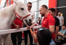 hipodromcomdan manali proje atlar ve ozel cocuklar bulustu ajc8KmlV