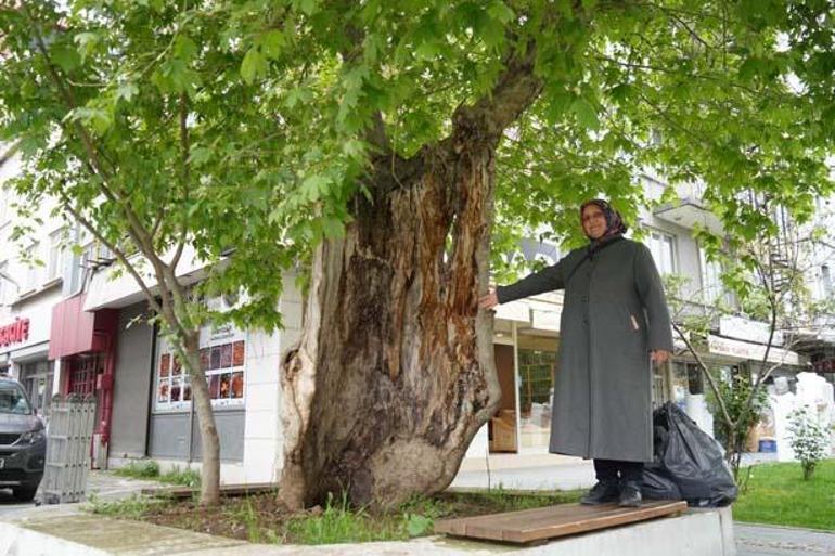 İlçede şaşırtan görünüm: Gözlerime inanamadım, hayret verici bir durum 3 ilcede sasirtan gorunum gozlerime inanamadim hayret verici bir durum 1 gtVjXUVh