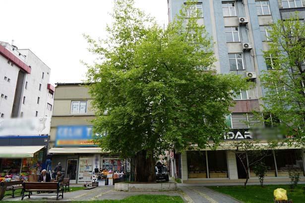 İlçede şaşırtan görünüm: Gözlerime inanamadım, hayret verici bir durum 16 ilcede sasirtan gorunum gozlerime inanamadim hayret verici bir durum 14 hT6s7ZNj