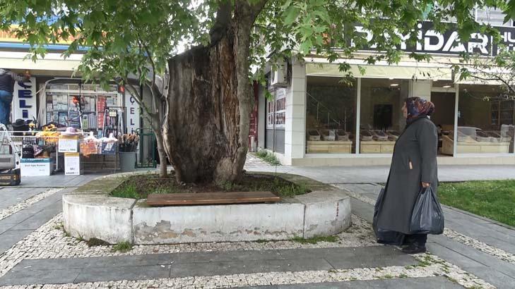 İlçede şaşırtan görünüm: Gözlerime inanamadım, hayret verici bir durum 18 ilcede sasirtan gorunum gozlerime inanamadim hayret verici bir durum 16 tKknWl87