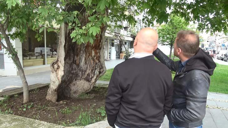 İlçede şaşırtan görünüm: Gözlerime inanamadım, hayret verici bir durum 7 ilcede sasirtan gorunum gozlerime inanamadim hayret verici bir durum 5 IN6aIlln