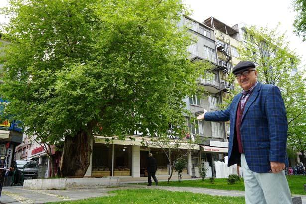 İlçede şaşırtan görünüm: Gözlerime inanamadım, hayret verici bir durum 9 ilcede sasirtan gorunum gozlerime inanamadim hayret verici bir durum 7 TLXBS8z2