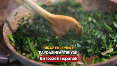 ispanagin gucunu 2ye katlayan tuyo icine bir avuc atin kansizligi unutun 8kKW1z6C
