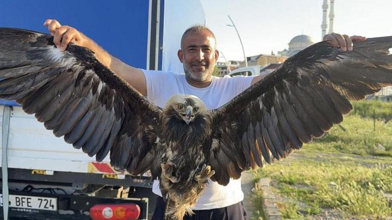 İstanbul’da çalılıkların ortasında fark ettiler! ‘Hiç görmemiştik birinci defa karşılaşıyoruz’ 2 istanbulda caliliklarin ortasinda fark ettiler hic gormemistik birinci defa karsilasiyoruz 0