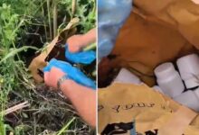 izmirde bu kadarina da pes dedirten olay dron ile uyusturucu sevkiyati q2nFLISr