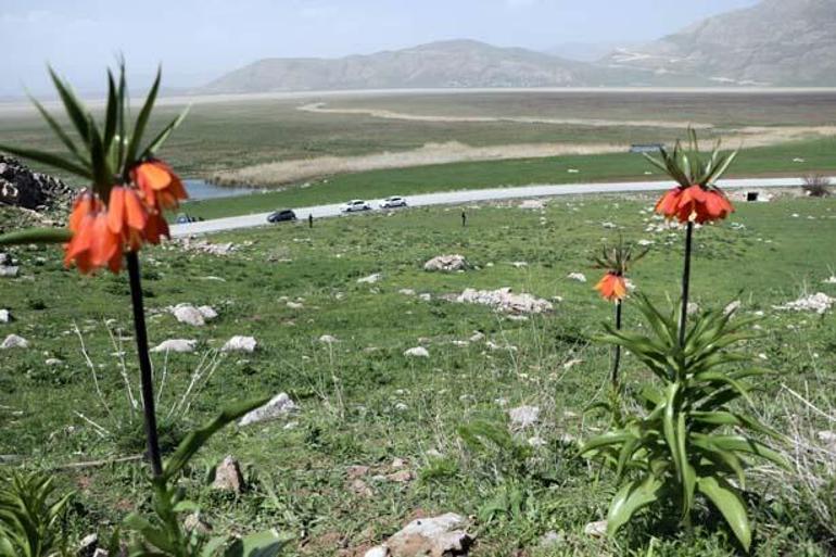 Jandarma başında nöbette! Cezası bir otomobil parası 2 jandarma basinda nobette cezasi bir otomobil parasi 0 rDjOHBWV