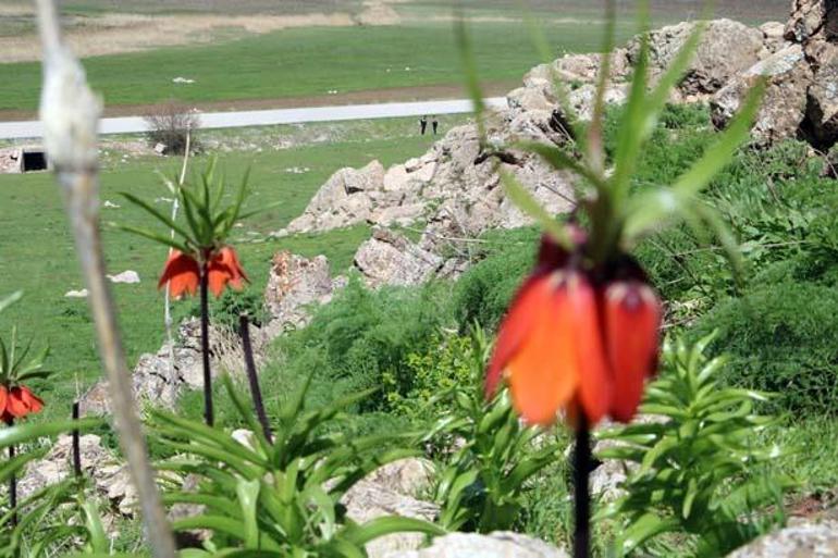 Jandarma başında nöbette! Cezası bir otomobil parası 4 jandarma basinda nobette cezasi bir otomobil parasi 2 ju2ch7dk