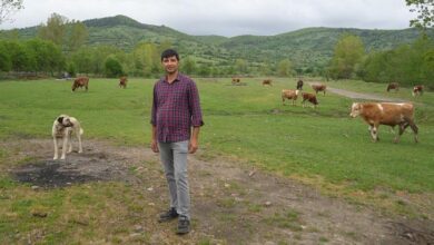 kent hayatindan bikti hayvanciliga basladi QIjaaefa
