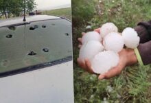 kentte devasa buyuklukte dolu tavsan ve kuslar telef oldu ekili yerler ziyan gordu 1DhpI6VV