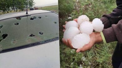 kentte devasa buyuklukte dolu tavsan ve kuslar telef oldu ekili yerler ziyan gordu 1DhpI6VV