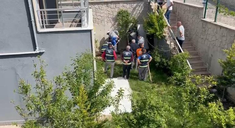 Köpekleri parçalayan tabibin konutundan çıkanlar şoke etti! Hepsini tek tek paketlemiş 4 kopekleri parcalayan tabibin konutundan cikanlar soke etti hepsini tek tek paketlemis 2 OX9Ojp3Y