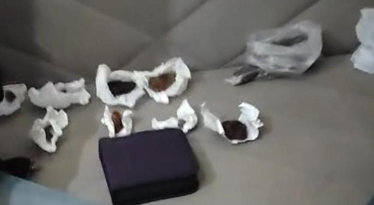 Köpekleri parçalayan tabibin konutundan çıkanlar şoke etti! Hepsini tek tek paketlemiş 5 kopekleri parcalayan tabibin konutundan cikanlar soke etti hepsini tek tek paketlemis 3 Tv6Myc1n