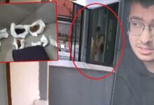 kopekleri parcalayan tabibin konutundan cikanlar soke etti hepsini tek tek paketlemis Efch1Pbg