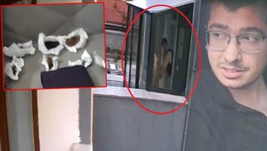kopekleri parcalayan tabibin konutundan cikanlar soke etti hepsini tek tek paketlemis Efch1Pbg