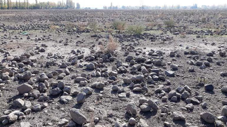 Köyüne döndü, 7 yıl boyunca 1500 kamyon taş topladı! İnanılmaz son 2 koyune dondu 7 yil boyunca 1500 kamyon tas topladi inanilmaz son 0