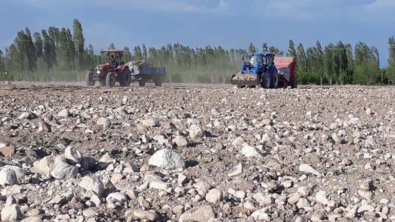 Köyüne döndü, 7 yıl boyunca 1500 kamyon taş topladı! İnanılmaz son 13 koyune dondu 7 yil boyunca 1500 kamyon tas topladi inanilmaz son 11 KitGnN4V