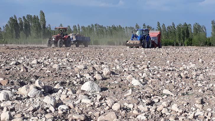 Köyüne döndü, 7 yıl boyunca 1500 kamyon taş topladı! İnanılmaz son 6 koyune dondu 7 yil boyunca 1500 kamyon tas topladi inanilmaz son 4 2IgZRghe