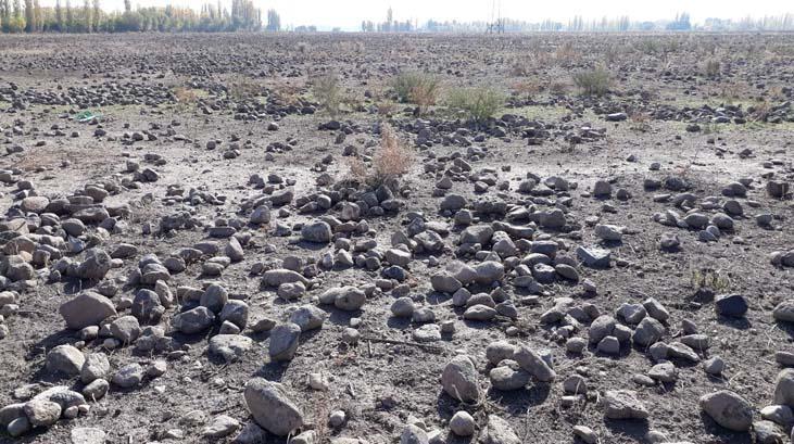 Köyüne döndü, 7 yıl boyunca 1500 kamyon taş topladı! İnanılmaz son 7 koyune dondu 7 yil boyunca 1500 kamyon tas topladi inanilmaz son 5 SdrF74OD