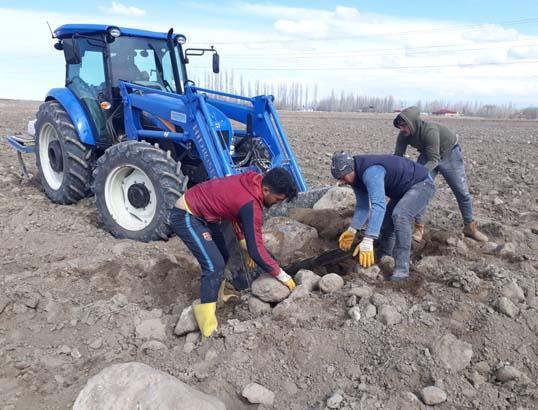 Köyüne döndü, 7 yıl boyunca 1500 kamyon taş topladı! İnanılmaz son 8 koyune dondu 7 yil boyunca 1500 kamyon tas topladi inanilmaz son 6 GetvQ8Zt