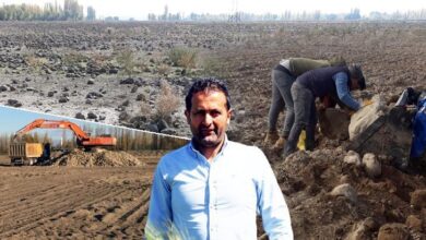 koyune dondu 7 yil boyunca 1500 kamyon tas topladi inanilmaz son Bfv5id5I
