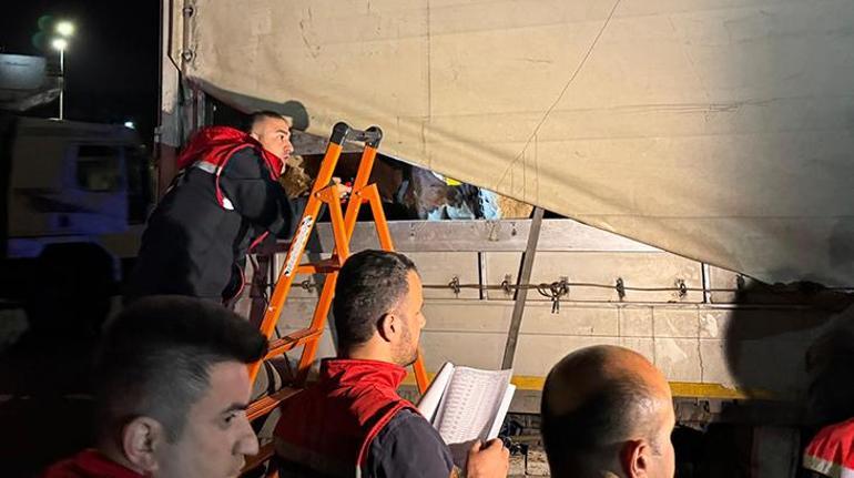 Kurban Bayramı yaklaştı! İstanbul'a kurbanlık hayvan girişleri başladı 2 kurban bayrami yaklasti istanbula kurbanlik hayvan girisleri basladi 0 JcSMyEdR