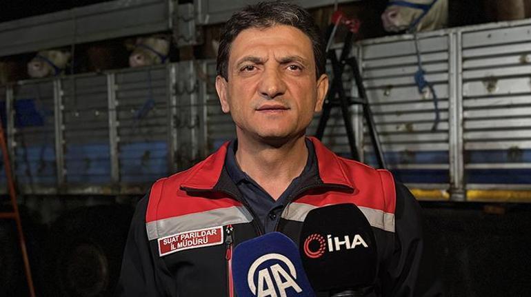 Kurban Bayramı yaklaştı! İstanbul'a kurbanlık hayvan girişleri başladı 3 kurban bayrami yaklasti istanbula kurbanlik hayvan girisleri basladi 1 rPMCelTH