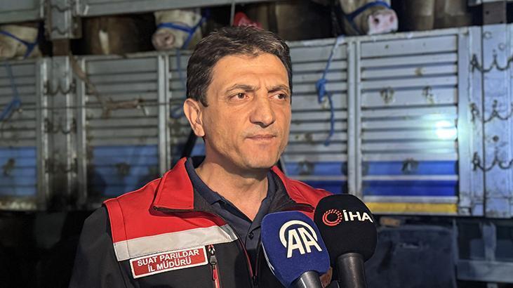 Kurban Bayramı yaklaştı! İstanbul'a kurbanlık hayvan girişleri başladı 1 kurban bayrami yaklasti istanbula kurbanlik hayvan girisleri basladi KSebQpQj
