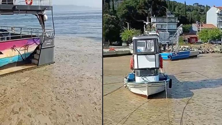 Marmara Denizi için kışın ikaz verilmişti! Kabus geri döndü 2 marmara denizi icin kisin ikaz verilmisti kabus geri dondu 0 hBj9tweQ