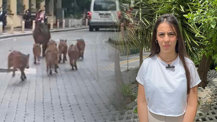 Marmaris'i istila ettiler: Kent karantinaya alınabilir, giriş çıkışlar kapatılabilir 1 marmarisi istila ettiler kent karantinaya alinabilir giris cikislar kapatilabilir me3EFysw