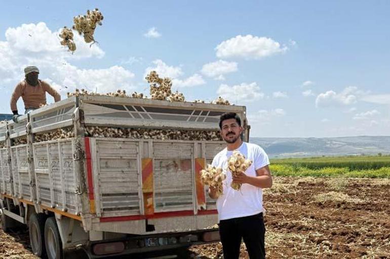 Mühendis oldu! Baba mesleği için tarlasına döndü 2 muhendis oldu baba meslegi icin tarlasina dondu 0 XPppqCPs