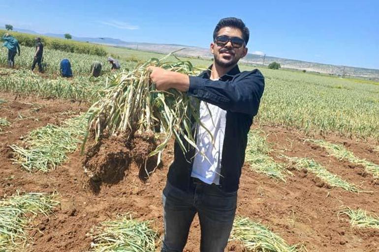 Mühendis oldu! Baba mesleği için tarlasına döndü 3 muhendis oldu baba meslegi icin tarlasina dondu 1 NX6nf6bA