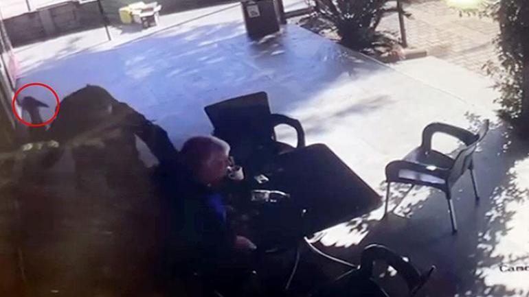 'Öldürme komutu aldım' dedi, müthiş cinayette şoke eden rapor 2 oldurme komutu aldim dedi muthis cinayette soke eden rapor 0 X9F5PEUp
