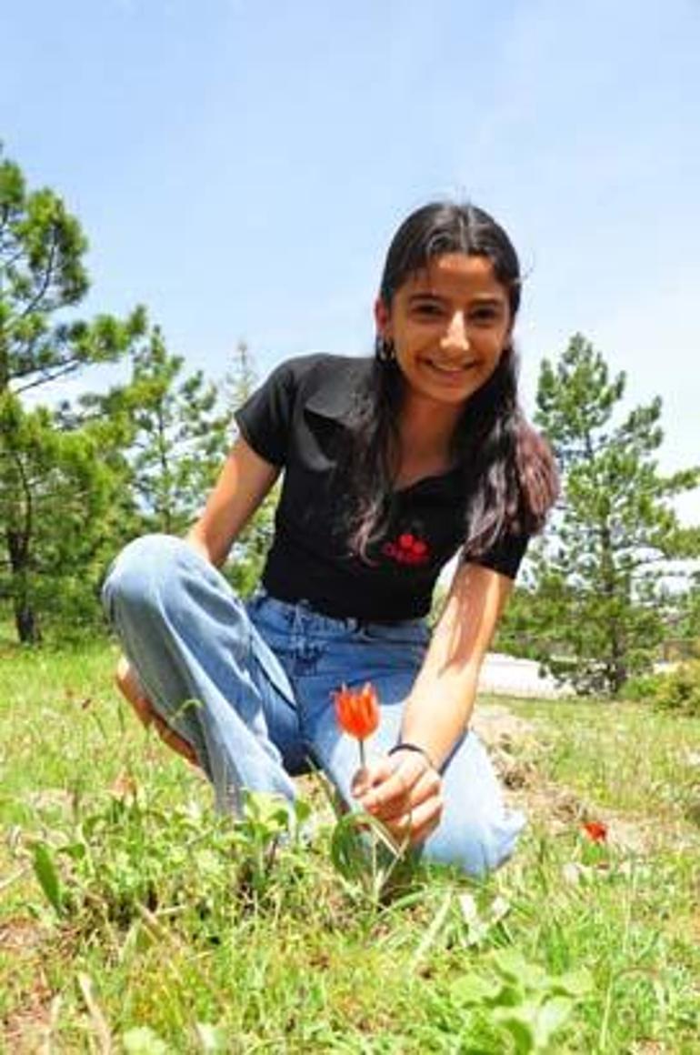 Ömrü yalnızca 10 gün! Dokunan yanar: Cezası 557 bin TL 2 omru yalnizca 10 gun dokunan yanar cezasi 557 bin tl 0 zucKAbHI