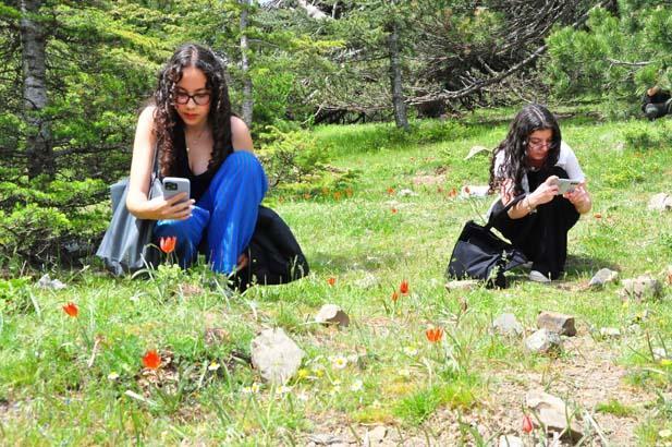 Ömrü yalnızca 10 gün! Dokunan yanar: Cezası 557 bin TL 5 omru yalnizca 10 gun dokunan yanar cezasi 557 bin tl 3 9GgJWjY4