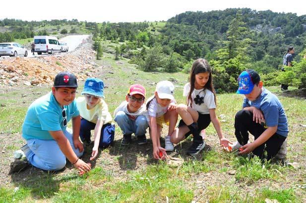 Ömrü yalnızca 10 gün! Dokunan yanar: Cezası 557 bin TL 8 omru yalnizca 10 gun dokunan yanar cezasi 557 bin tl 6