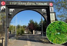 parkta alkol alanlarin biraktiklari sisedeki ickiyi su zannederek icen cocuk hastanelik oldu Ue4aPhxz