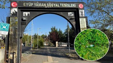 parkta alkol alanlarin biraktiklari sisedeki ickiyi su zannederek icen cocuk hastanelik oldu Ue4aPhxz