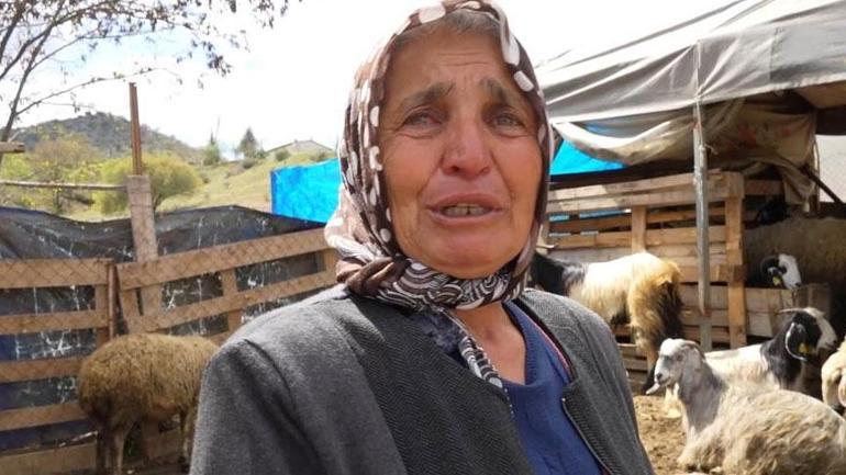 Sabah görüntüyü görünce şoke oldular! 'Eşimden bile kıskanıyordum' 2 sabah goruntuyu gorunce soke oldular esimden bile kiskaniyordum 0 sbn1puCZ