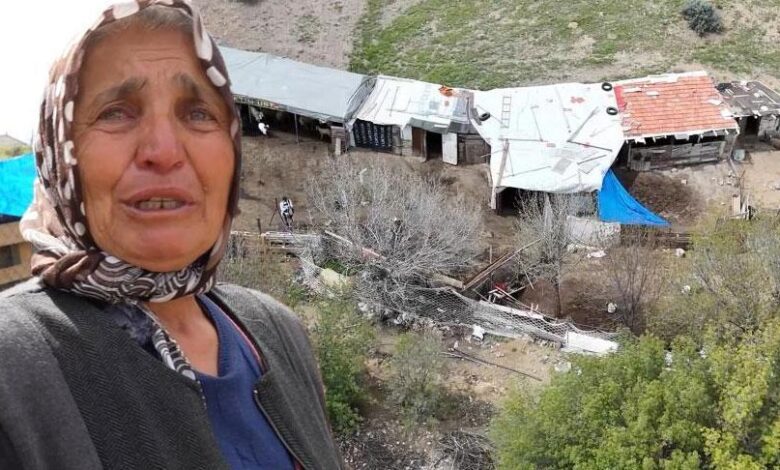 Sabah görüntüyü görünce şoke oldular! 'Eşimden bile kıskanıyordum' 1 sabah goruntuyu gorunce soke oldular esimden bile kiskaniyordum NkJCPBJ5