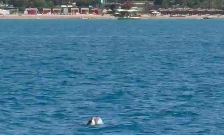 side aciklarinda goruntulendi turistler buyuk heyecan yasadi YW5zcrKj