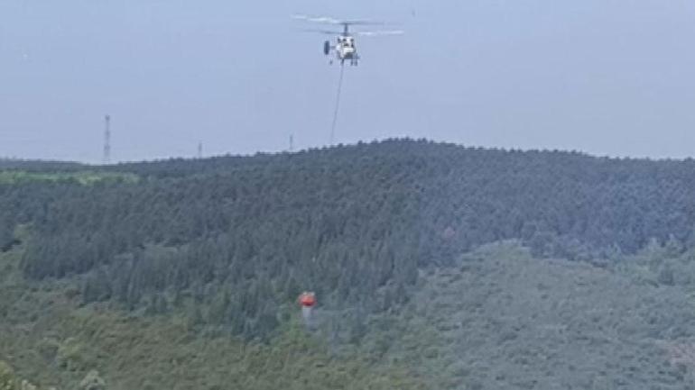 sultangazi kent ormaninda yangin gruplar mudahale ediyor 0 rP3AarYL