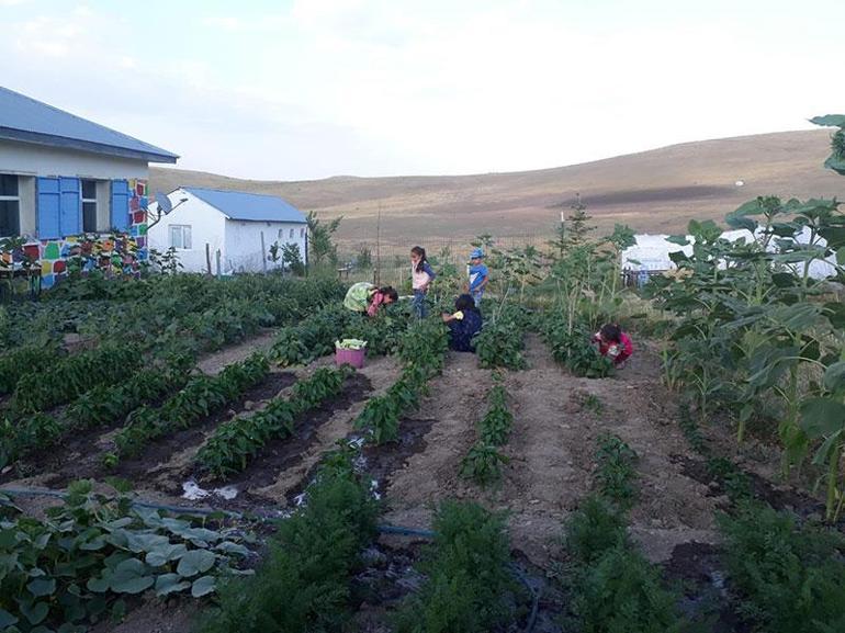 Susuz köyün çilekleri! Yırtık kara lastik mesleğe bağladı: 'En büyük kazancımız' 3 susuz koyun cilekleri yirtik kara lastik meslege bagladi en buyuk kazancimiz 1 mZk4znnT