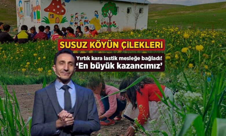 Susuz köyün çilekleri! Yırtık kara lastik mesleğe bağladı: 'En büyük kazancımız' 1 susuz koyun cilekleri yirtik kara lastik meslege bagladi en buyuk kazancimiz EaKOUkfa