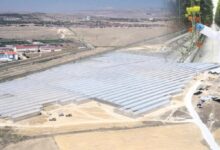 tarima 2 yilda 300 milyon dolar yatirim YETZimsx