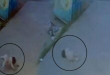 tekirdagda fec olay 5inci kattan dusen bebek oldu 3Ge4O4e2